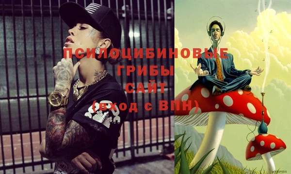 прущий лед Бородино