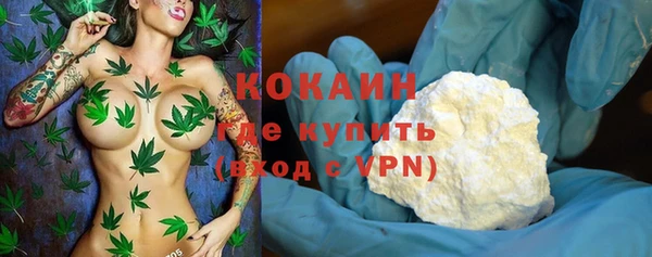 прущие грибы Нефтекумск
