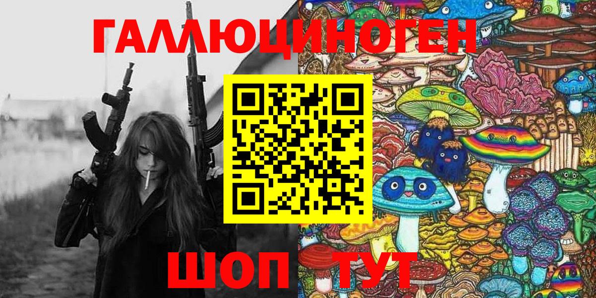 Псилоцибиновые грибы Psilocybine cubensis Ялта